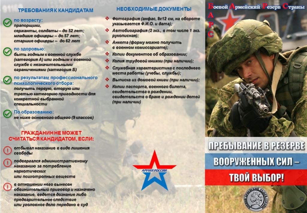 БАРС.jpg